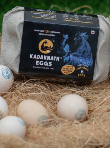 are-eggs -vegetarian-or- non-vegetarian
